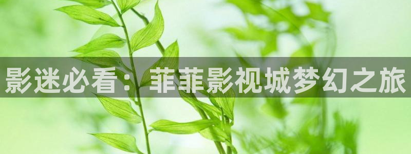 人人干人人爽在线观看视频：影迷必看：菲菲影视城梦幻之旅