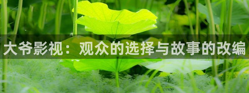 人人日在线视频：大爷影视：观众的选择与故事的改编